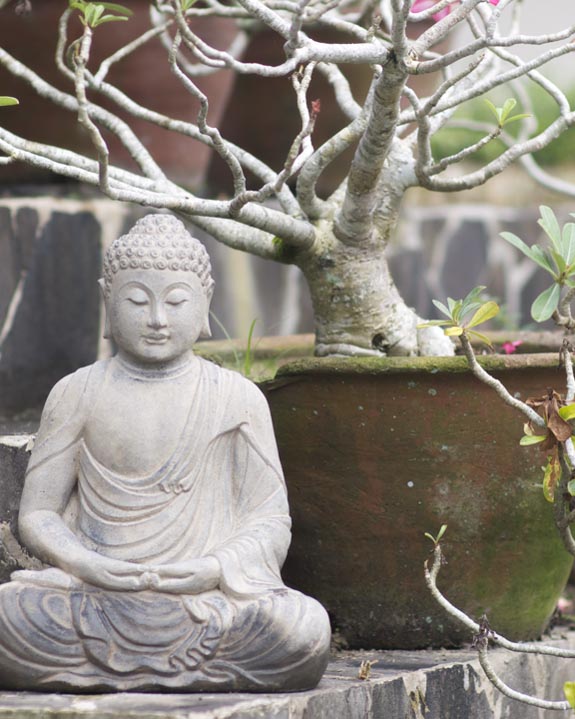 Garden Buddha Garden Buddha